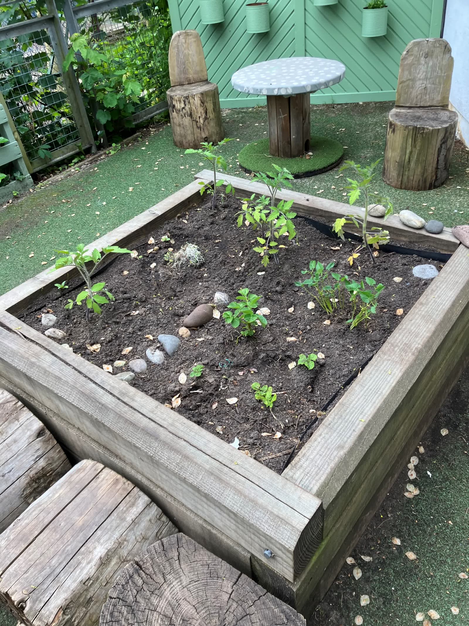 The established Pocket Picnic Garden bed