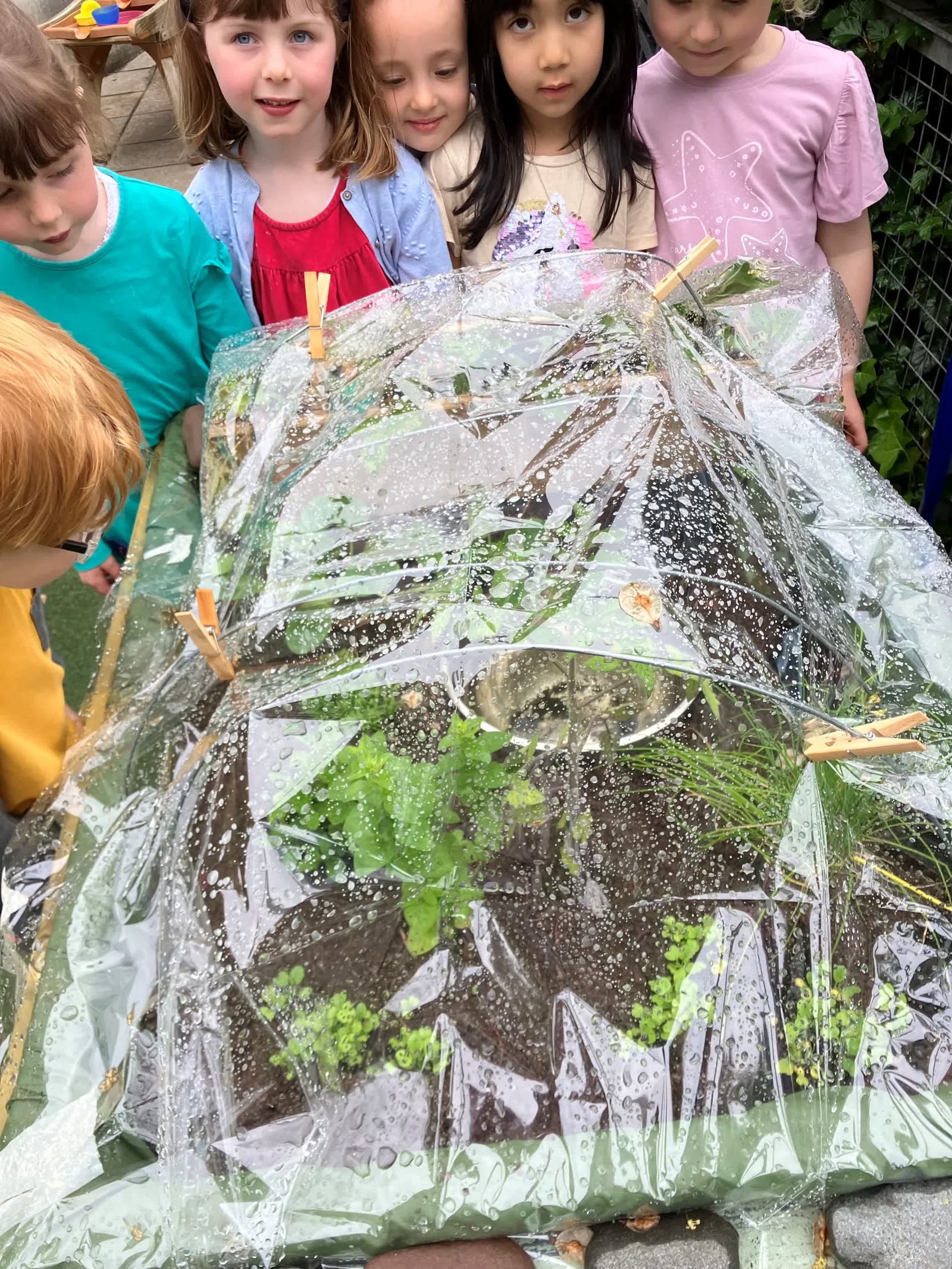Children gathered closely around the covered seedlings in the Pocket Picnic Garden
