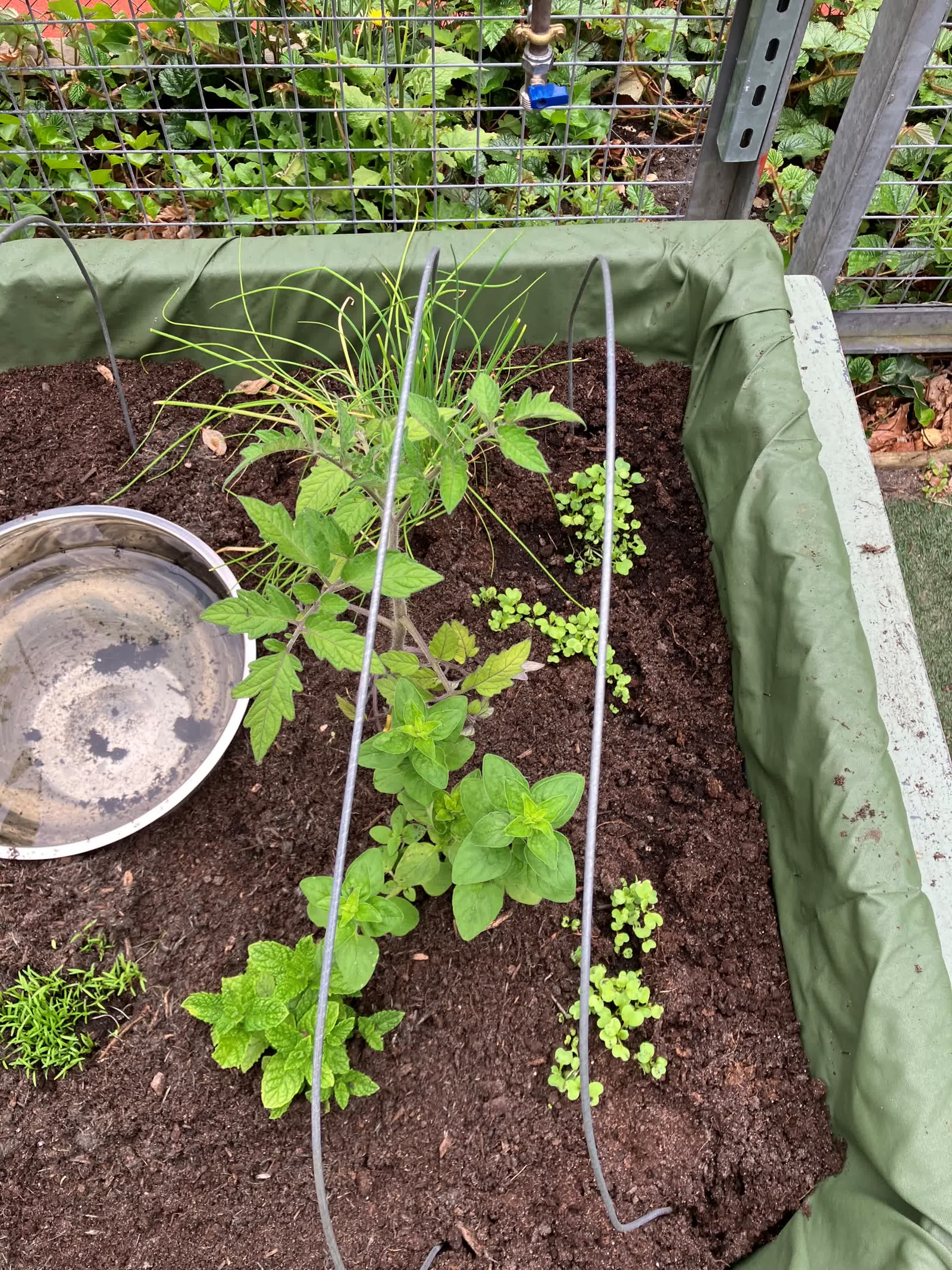 A close-up of the watering system in the Pocket Picnic Garden