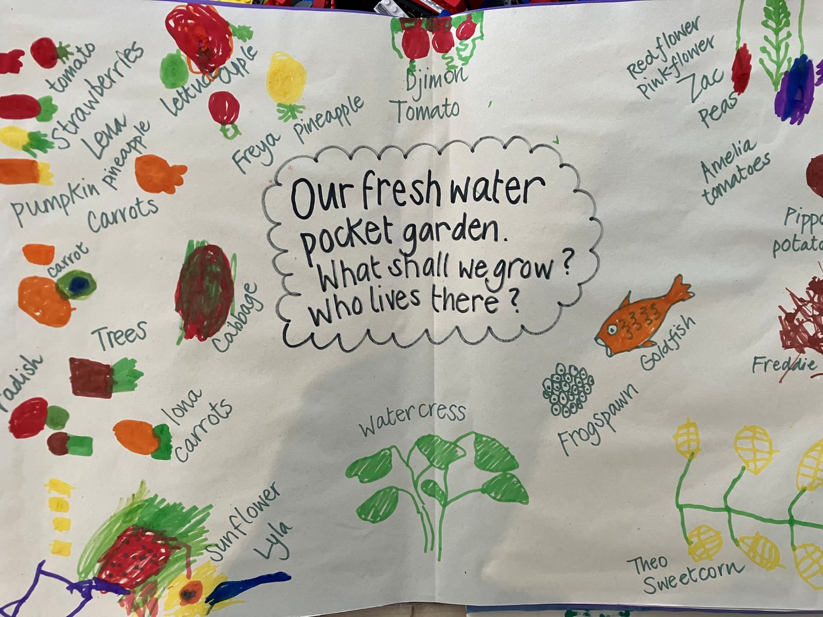 The children's floor story gathering ideas for the Pocket Picnic Garden