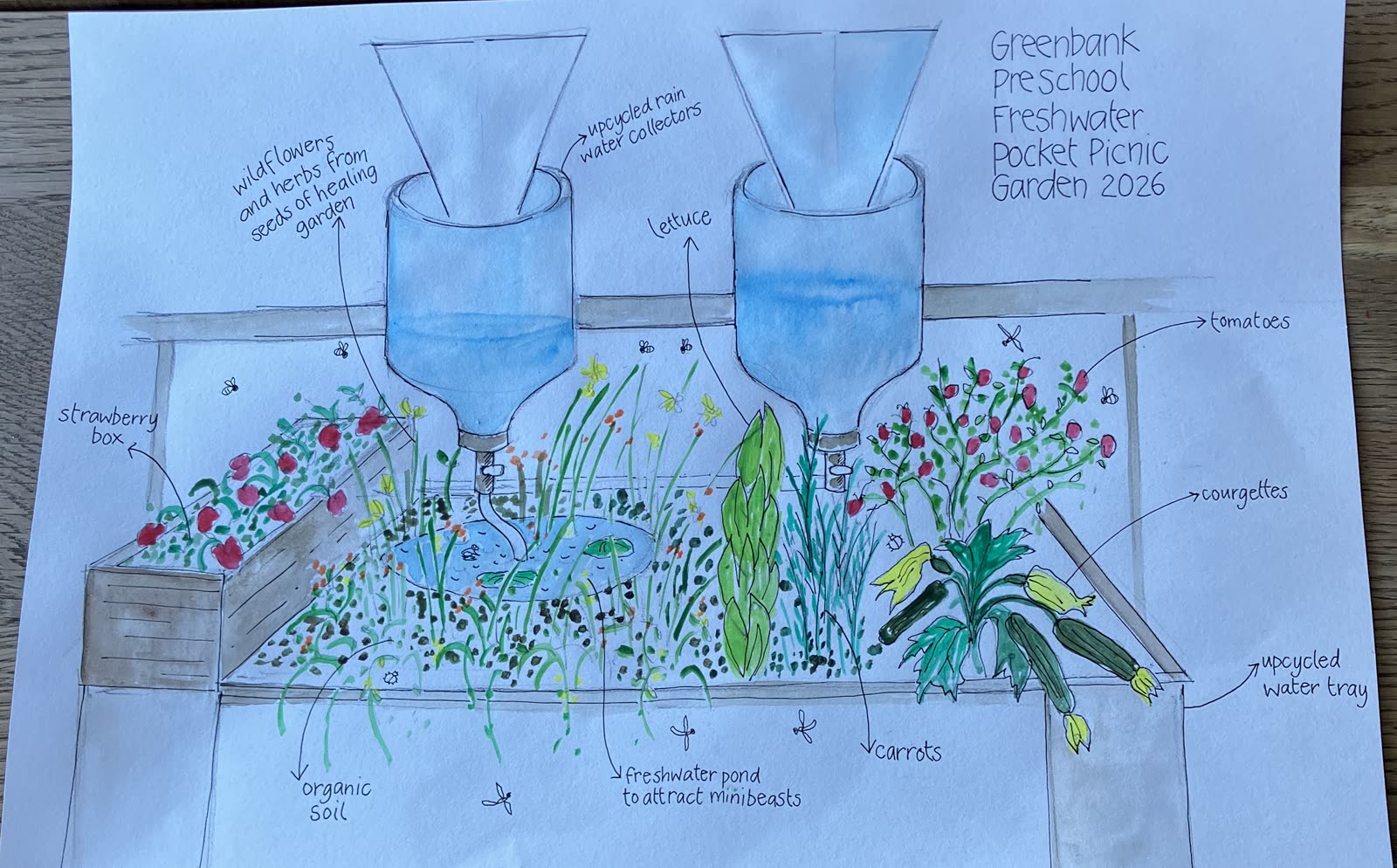 The children's drawn plan for the Pocket Picnic Garden