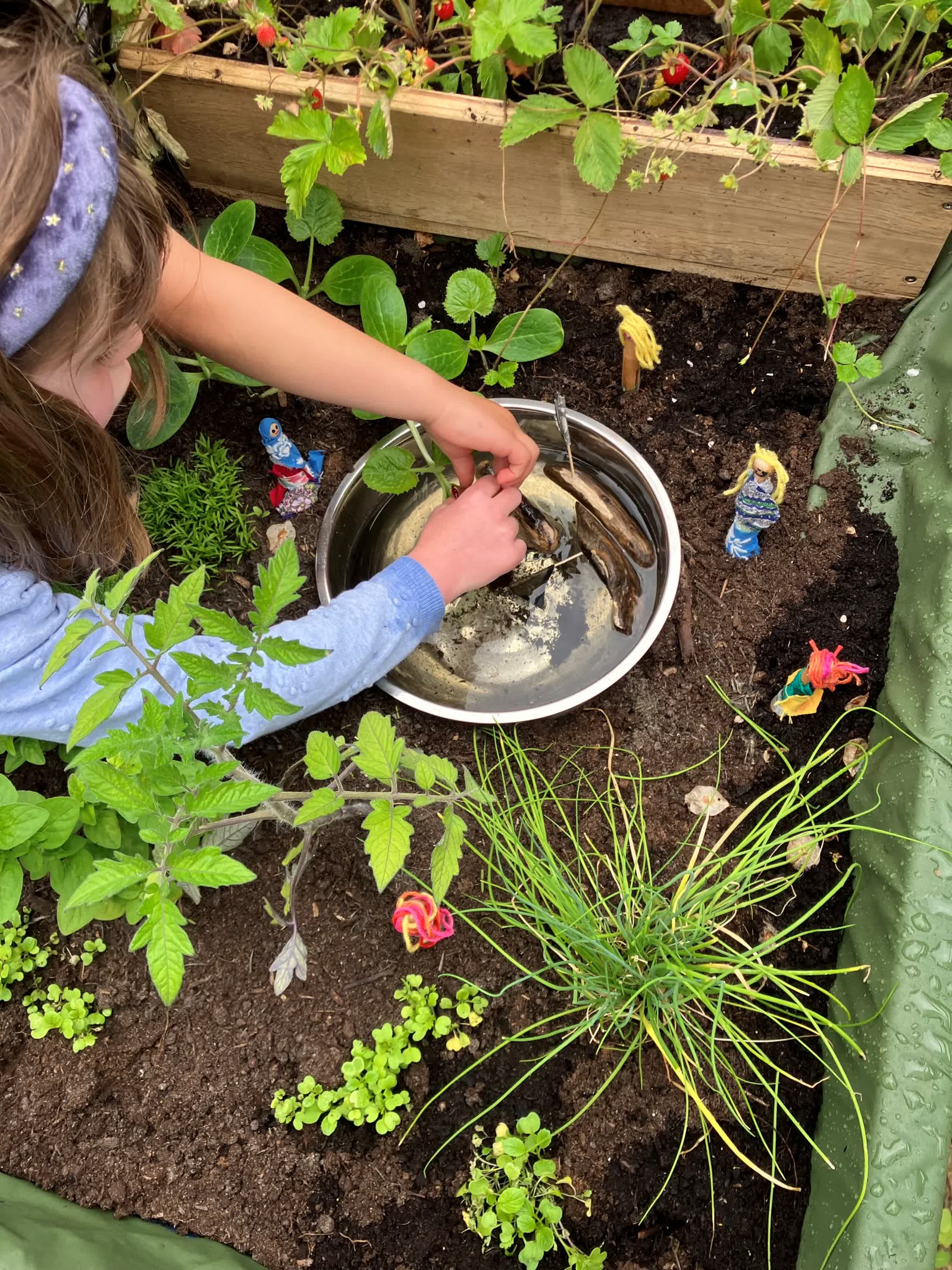 A child scooping water from the minibeast pond in the Pocket Picnic Garden