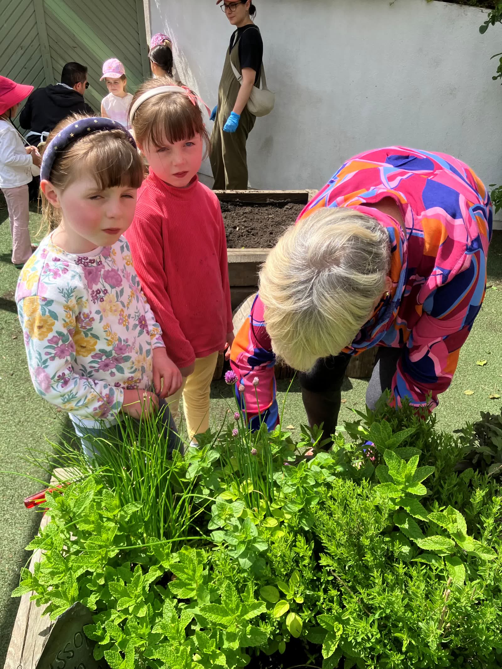 Children checking on the strawberry plants in the Pocket Picnic Garden